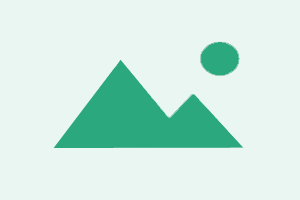 Xiaomi Bootloader Unlock ( Global Edition Device Only)